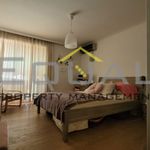 Rent 1 bedroom apartment of 56 m² in Δικηγορικά