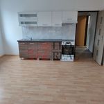 Rent 2 bedroom apartment of 55 m² in Nový Bor