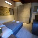 Rent 1 bedroom apartment of 32 m² in Impruneta