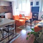 Rent 3 bedroom apartment of 72 m² in Cervia