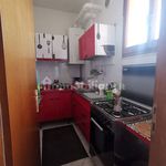 Affitto 5 camera appartamento di 80 m² in Potenza Picena