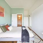 Rent a room in Venda Nova