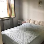 Rent 3 bedroom apartment of 100 m² in Pieve Emanuele