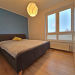 Rent 3 bedroom apartment of 63 m² in Kielce