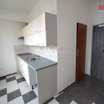 Rent 1 bedroom apartment of 30 m² in Příbor