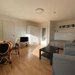 Miete 1 Schlafzimmer wohnung von 35 m² in Munich