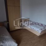 Najam 3 spavaće sobe stan od 120 m² u Primorsko-Goranska