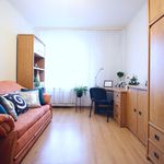 Rent 2 bedroom apartment in Łódź
