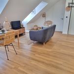 Rent 1 bedroom apartment of 43 m² in Versailles