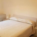 Rent 1 bedroom house of 50 m² in Viareggio