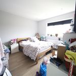 Rent 8 bedroom flat in Barnet
