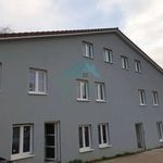 Rent 6 bedroom apartment of 75 m² in Mondorff