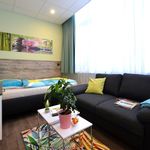 Rent 1 bedroom apartment of 23 m² in Offenbach