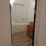 Rent 1 bedroom apartment of 55 m² in Ballabio