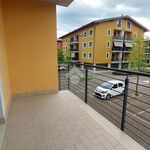 Rent 1 bedroom apartment of 60 m² in Alatri