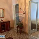Affitto 6 camera appartamento di 210 m² in Catania