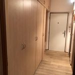 Rent 1 bedroom apartment in Vsetín
