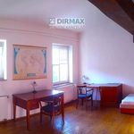 Rent 1 bedroom apartment of 30 m² in Plzeň
