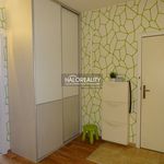 Rent 3 bedroom apartment of 65 m² in Nová Ves