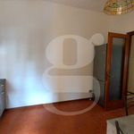Rent 4 bedroom apartment of 70 m² in Nettuno