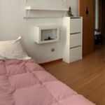 Rent a room of 100 m² in Santa Cruz de Tenerife