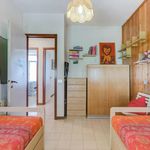Rent 4 bedroom apartment of 120 m² in Nettuno