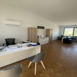 Rent 1 bedroom apartment in Brignoles