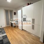 Rent a room of 100 m² in Legnaro