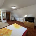 Miete 1 Schlafzimmer wohnung von 30 m² in Friedrichshafen