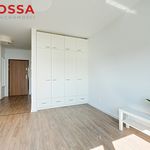Rent 1 bedroom apartment of 31 m² in Łódź