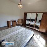Affitto 4 camera appartamento di 105 m² in Bologna