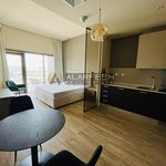 Rent 1 bedroom apartment of 471 m² in Dubai