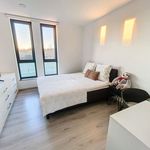 Rent 3 bedroom house of 1500 m² in Antwerpen
