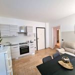 Rent 2 bedroom apartment of 42 m² in Bergamo