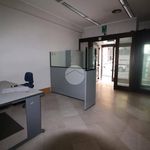 Affitto 1 camera appartamento di 350 m² in Mantova