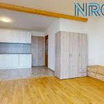 Rent 1 bedroom apartment of 48 m² in Zásmuky