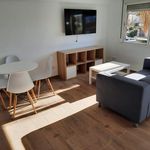 Rent 3 bedroom apartment of 60 m² in Sevilla