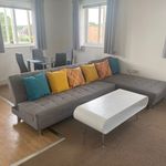 Rent 4 bedroom apartment of 78 m² in Colchester