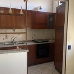 Rent 4 bedroom apartment of 80 m² in Florence