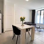 Rent 2 bedroom apartment of 45 m² in Albi