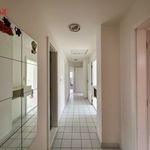 Rent 3 bedroom apartment of 90 m² in Brno