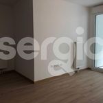 Rent 2 bedroom apartment of 40 m² in Wasquehal