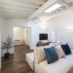 Rent 4 bedroom apartment of 150 m² in Firenze