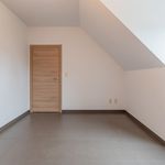 Rent 3 bedroom apartment of 138 m² in Wichelen