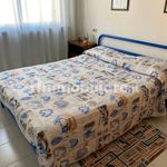 Rent 3 bedroom apartment of 50 m² in Mondolfo