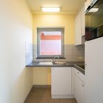 Rent 1 bedroom apartment in Aalst (9300)