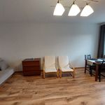 Rent 1 bedroom apartment of 34 m² in Poznań