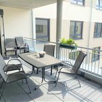Rent 1 bedroom apartment of 37 m² in Papenburg