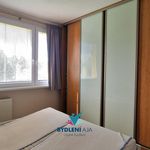 Rent 4 bedroom apartment of 67 m² in Bílina