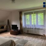 Rent 2 bedroom apartment of 60 m² in Havlíčkův Brod